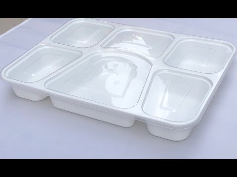 6 Compartment Plate with