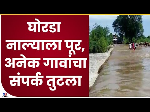 Solapur Barshi Flood | बार्शीमध्ये जोरदार पाऊस,  अनेक गावांचा संपर्क तुटला - tv9