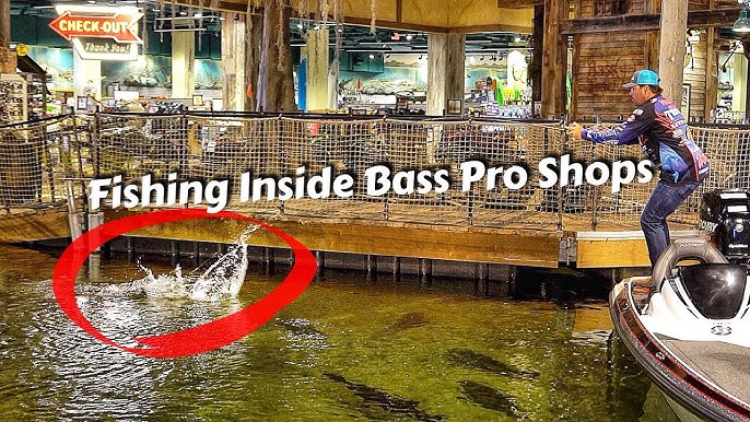 Live tarpon stolen from Bass Pro Shop's indoor fish pond 