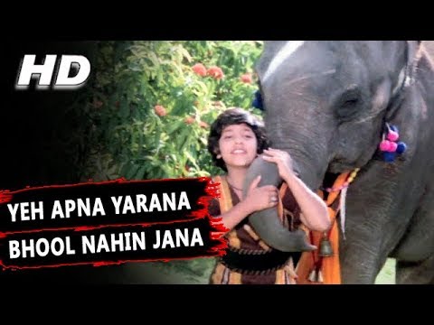 Yeh Apna Yarana Lyrics in Hindi Baghavat