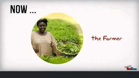 Development of an on-line spatial data platform for agricultural development in Ghana