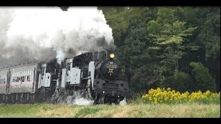 真岡鉄道SL C11325との別れ 最後の重連