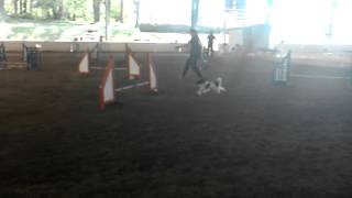 Peyton Master Jumpers Title 04172016