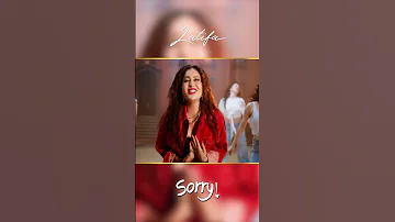 أنا ماكنتش قصدي Sorry كان غصب عني Sorry معلش اعذرني Sorry لا موأخذة يا حب أنا ما قصدشي 
