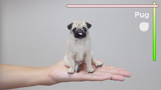 'Pug' The process of making with wool felt