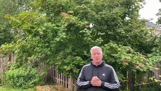 Help Us Support This Great Project 21 Islands 1 Purpose- Stop Covid-19 In Archipelago Of Bijagos