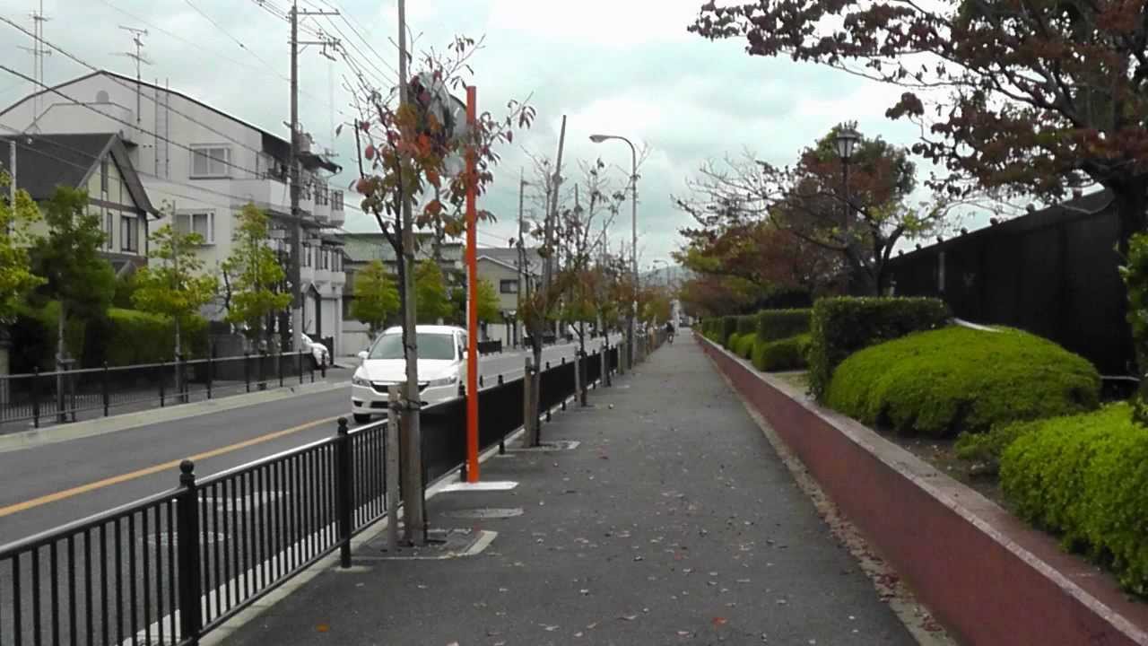 A Walk from Seminar House