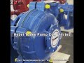 Tobee® THR8x6F Industrial Slurry Pumps  #waterpump #wastepump #wastewaterpump #trashpump #largepump