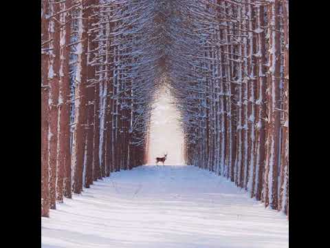 ماودعتك كتير عليي الوداع ناصيف زيتون السوري اغنيه رائعه