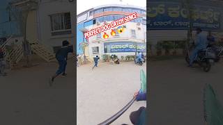 Gojo Double Dog Catch #dog #streetdogrevival #city #ytviral #gojo