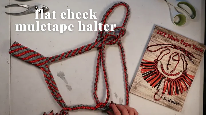 Flat Cheek 8 Strand Mule Tape Halter | DIY