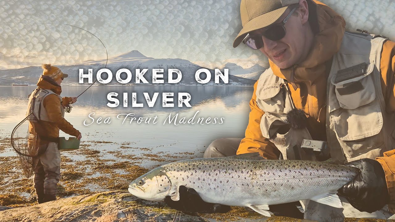 Hooked on Silver - Sea Trout Madness - YouTube