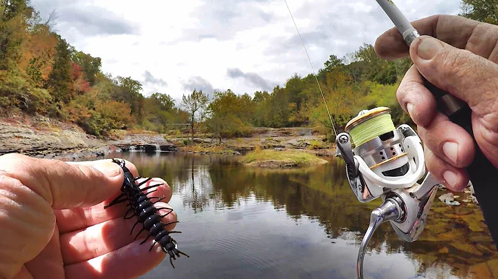 THIS FISHING LURE IS EPIC!!! (Mysterious Creek Fis...