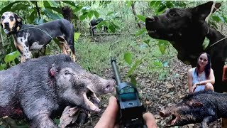 Clearing Australia's Most Pristine Environment of Feral Pigs With The Use of Dogs!!
