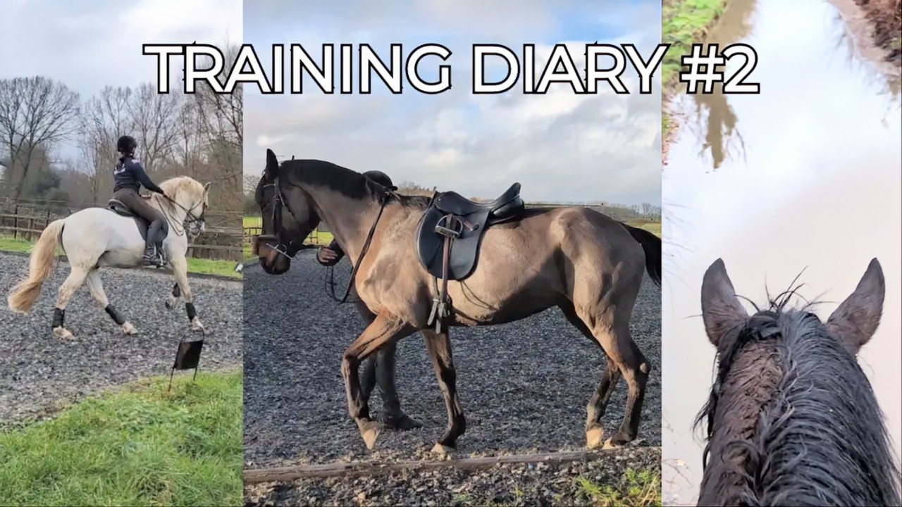 Piaffe Half-Steps, Puddle Trouble and Lame & Lamer | Training Diary #2
