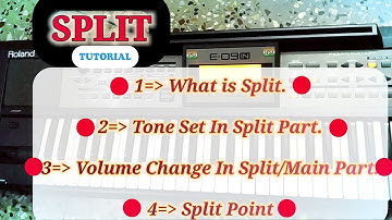 Roland E09 | What is SPLIT?  | Bapi Ghosh