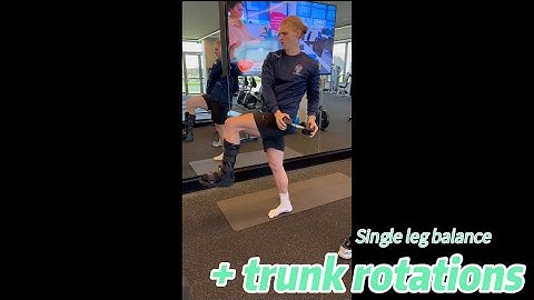 Single Leg Balance + Dumbbell Trunk Rotations