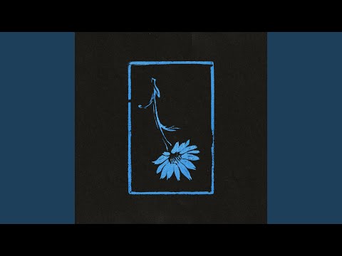 Finnegan Tui - Wildflower