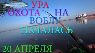 УРА 20 АПРЕЛЯ РЫБАЛКА НА ВОБЛУ