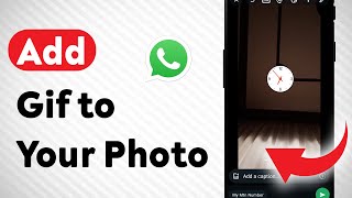 How to Add Gif to your Photo On WhatsApp (Updated) screenshot 4