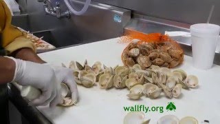 wallfly60 MerrickSeafood