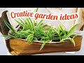 Small creative garden ideas/Indoor plants/Hanging plants/Salu koshy/garden ideas/ Botanical tips