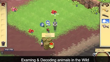 Radix Tutorial: Trait Examiner & Decoder