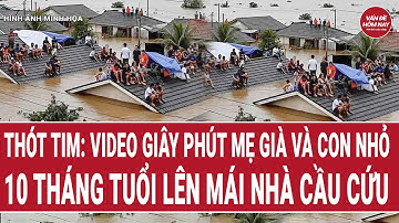 Bản tin thời sự: Thót tim: Video giây phút cấp tập đưa mẹ già, con nhỏ lên mái nhà cầu cứu