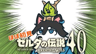 【はじめてのゼルダの伝説】＃40　コログってな？あと500人くらいおるねん【BotW】