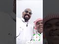 ثلاثة ثيران