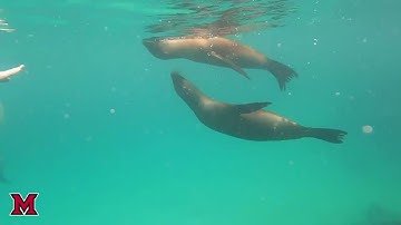 Project Dragonfly, Miami University, Earth Expeditions