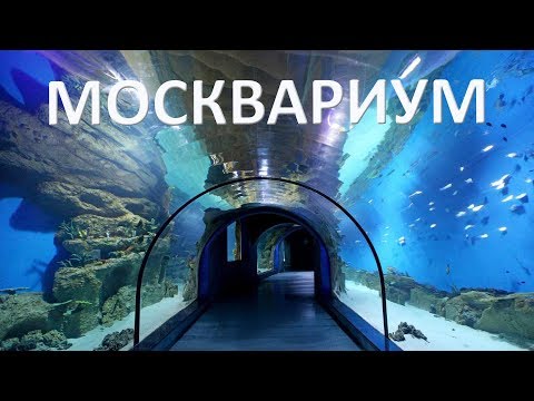 Москвариум на ВДНХ.