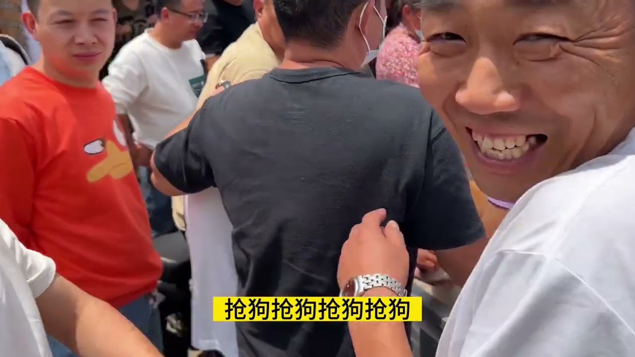 这狗堪称犬中“贵族”，外表具有王室风范，价格昂贵亮哥很少代购