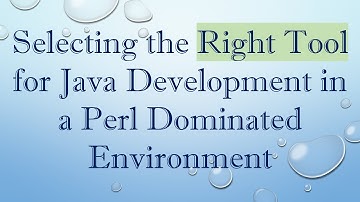 Selecting the Right Tool for Java Development in a Perl Dominated Environment