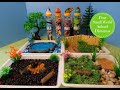 Four small world animal dioramas sea zoo dino insects  learn animal names