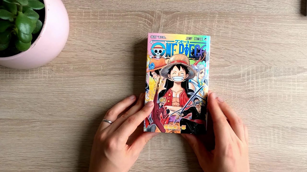 One Piece, Vol. 100 (100)
