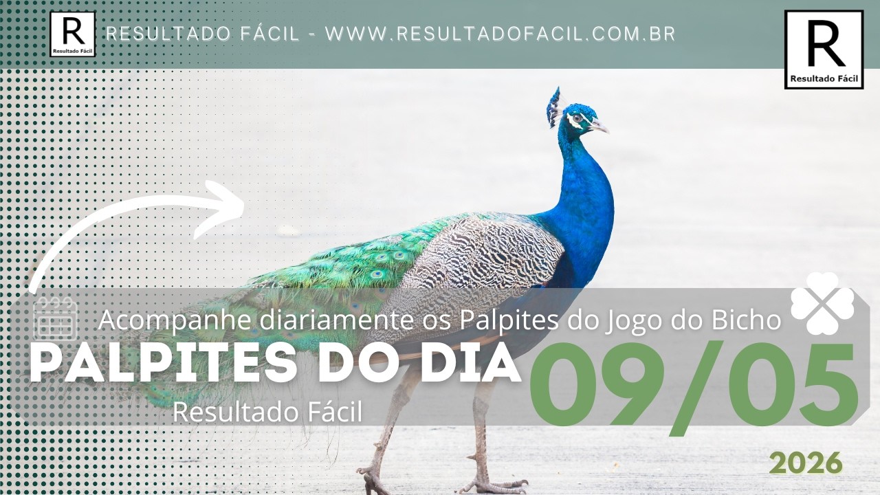 Palpites do dia Jogo do Bicho para o dia 09/05/2026