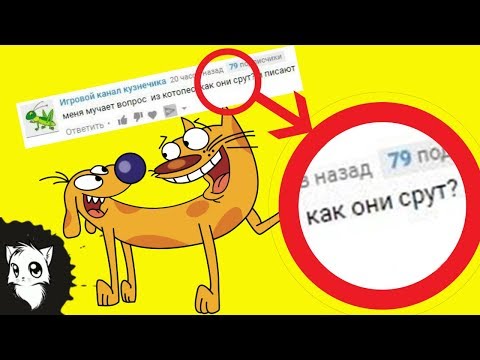 Как какает котопес