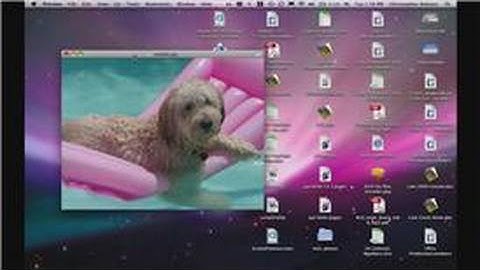 Computer Conversions : How to Convert a JPEG to a Bitmap