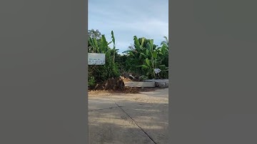 cà phê sáng góc đường xem các cháu lúc chưa làm cầu kdc xã phi thông TP rgia kg.rất bình yên