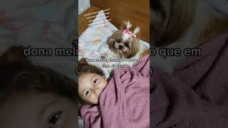 Cachorrinha folgadinha dormindo na cama!