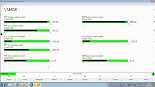 Inpa M54B30M Vanos Problem
