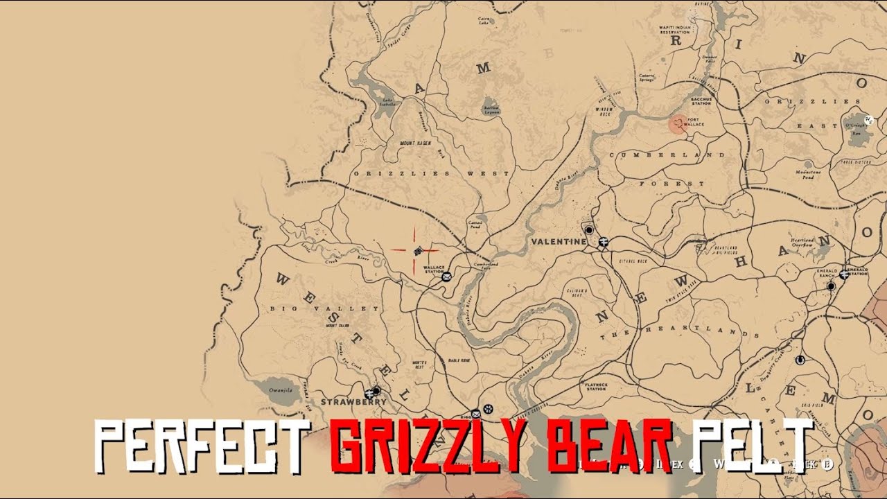 rdr2 perfect pelts, rdr2 perfect pelts guide, rdr2 grizzly bear l...