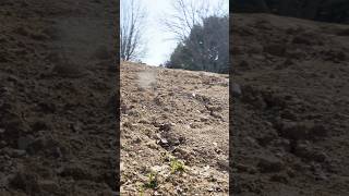 Listen to this pro tip from Aaron on adjusting and operating the Ventrac Power Rake.