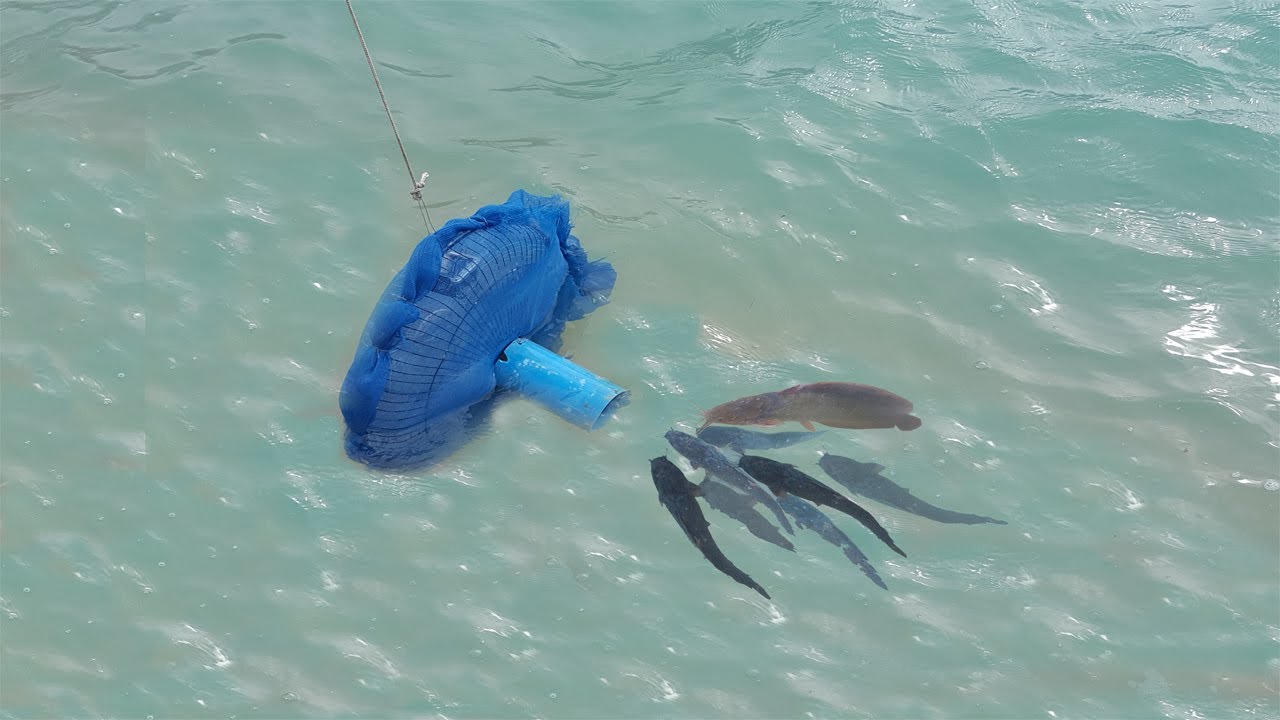 Amazing Electric Old Fan and PVC Fish Trap   Creative Boy Uses Electric Fan Guard and PVC Fishing