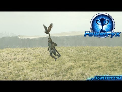 Shadow of the Colossus (PS4) - Animals of the Land Trophy Guide