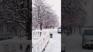 Калининград завалило снегом #kaliningrad #travel #kld #калининград #калининградскаяобласть