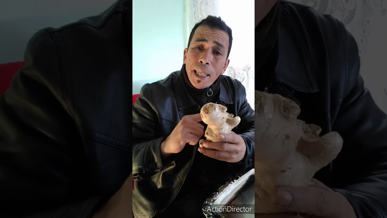 الزنجبيل للطيور بالطرق السليمة ، تجهيز الحسون