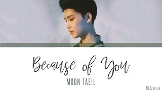 Taeil - Because of You [HAN|ROM|Legendado PT-BR]