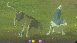 Zelda: Breath of the Wild - Wolf Link plays with his friends gone wrong